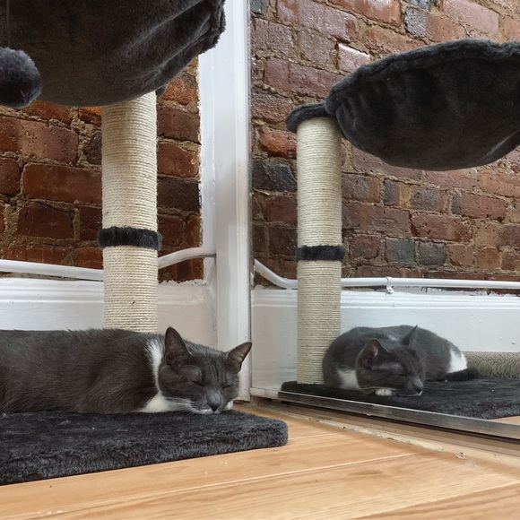 Meet your Posher, Yelle - Picture 9 of 9